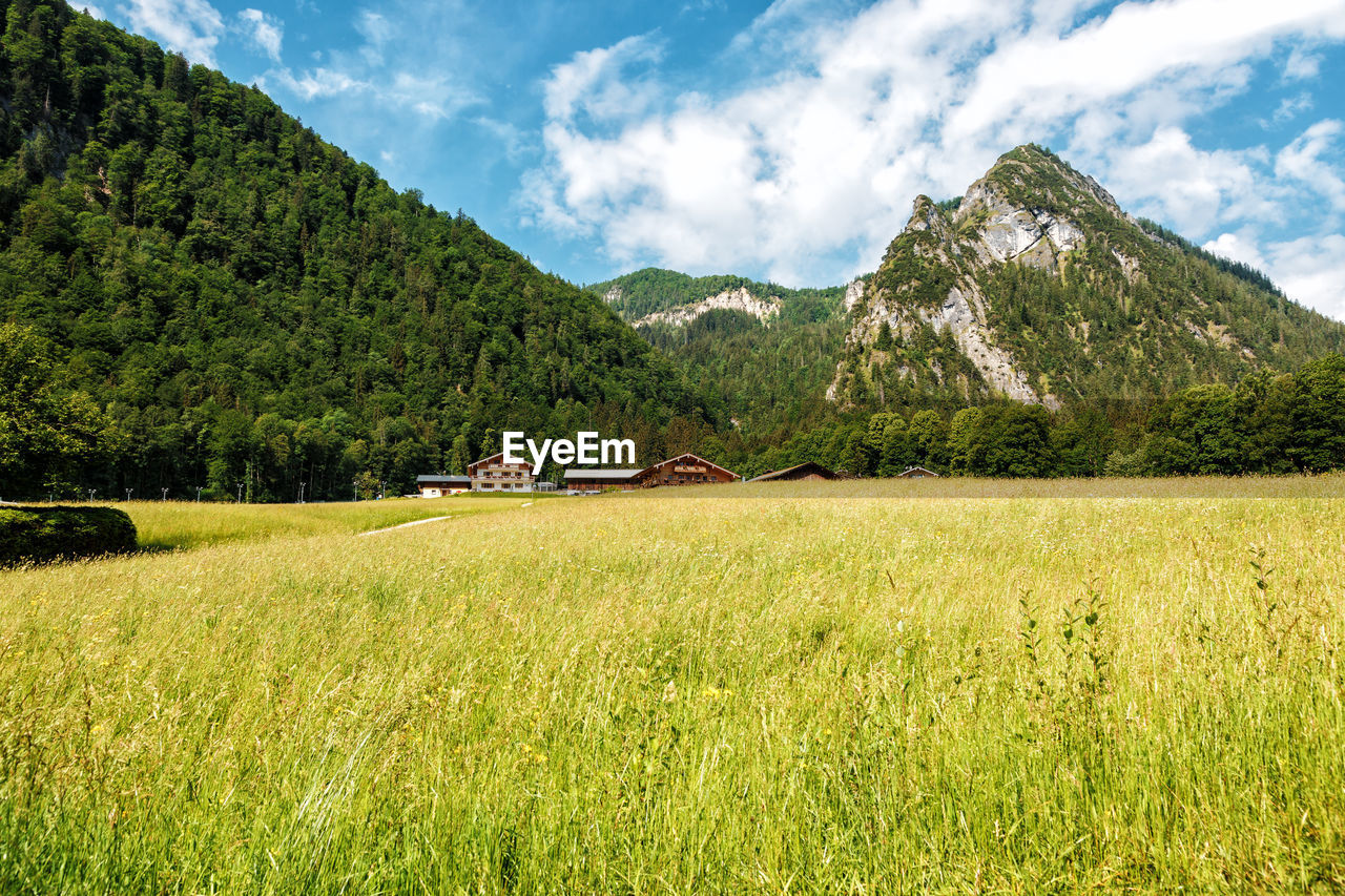 Scenic view of field and mountains against sky