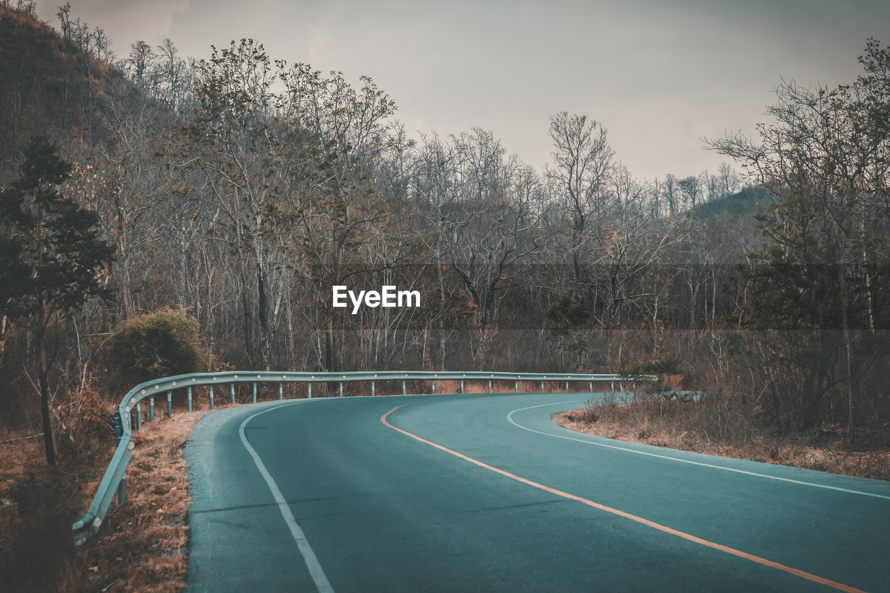 EMPTY ROAD AGAINST TREES