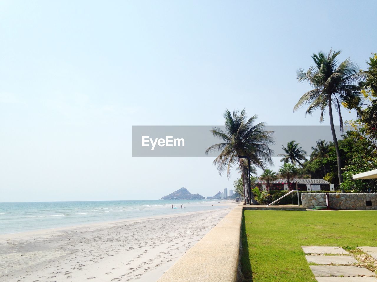 Palm trees on beach against clear sky