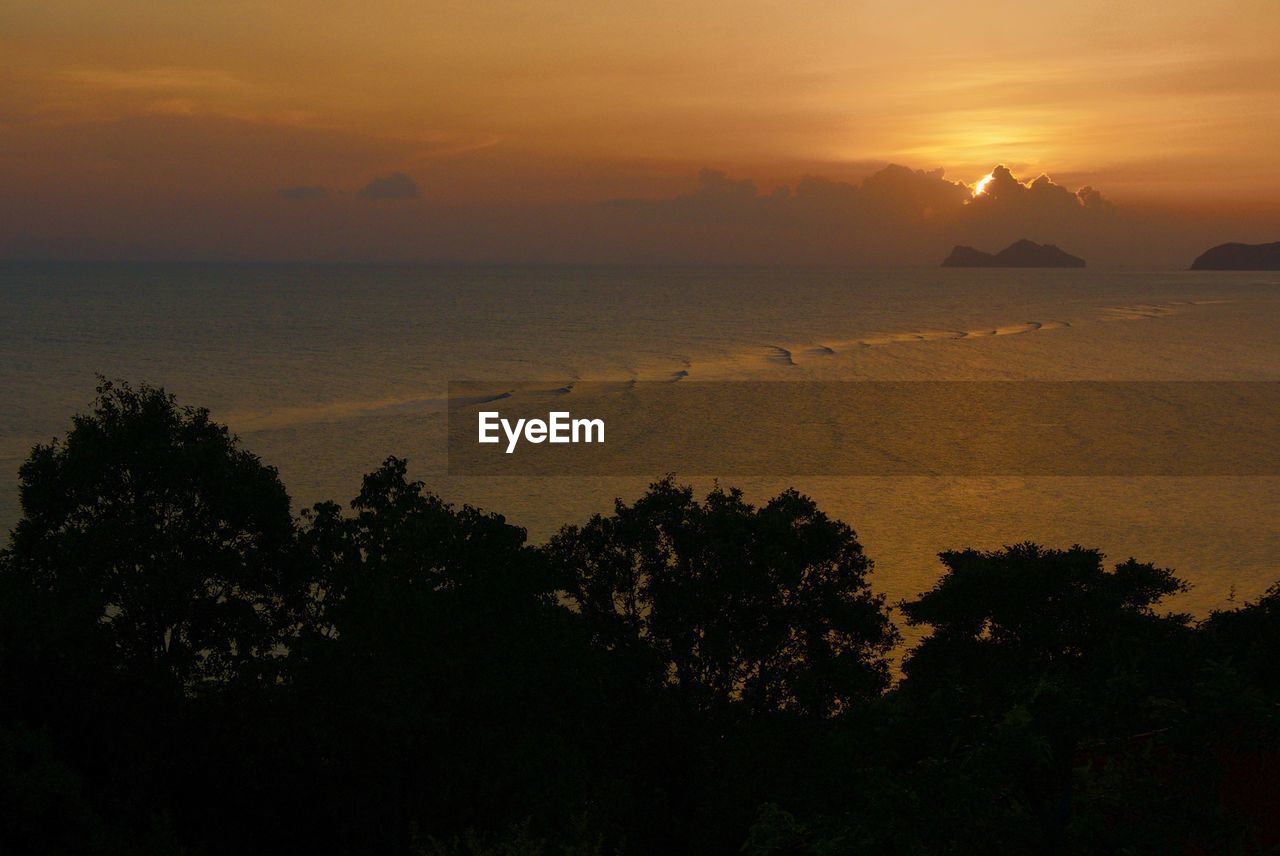 SILHOUETTE TREES BY SEA AGAINST ORANGE SKY