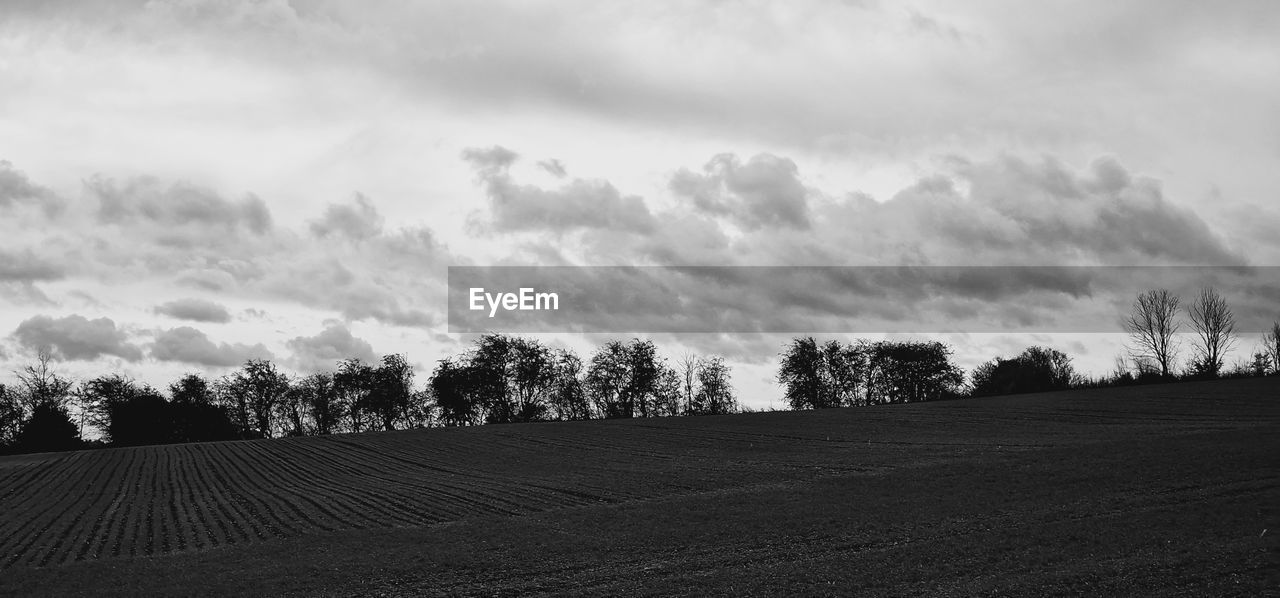 plant, sky, cloud, landscape, tree, black and white, environment, horizon, land, monochrome, monochrome photography, scenics - nature, field, nature, rural scene, tranquility, beauty in nature, tranquil scene, agriculture, no people, growth, hill, farm, outdoors, non-urban scene, rural area, day, morning, crop, darkness