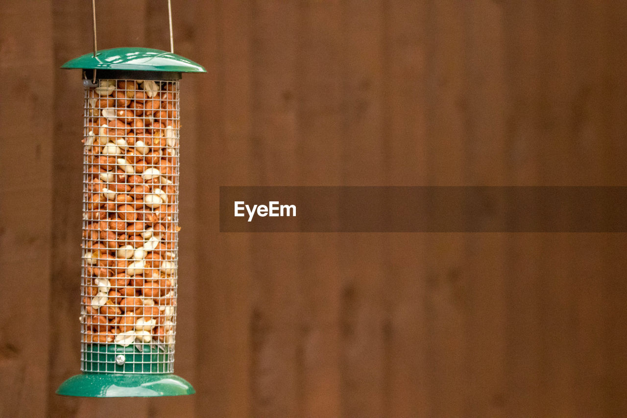 CLOSE-UP OF ELECTRIC LAMP AGAINST WALL