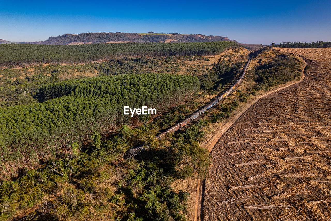 Bridge with train track over forest valley in the interior of brazil
