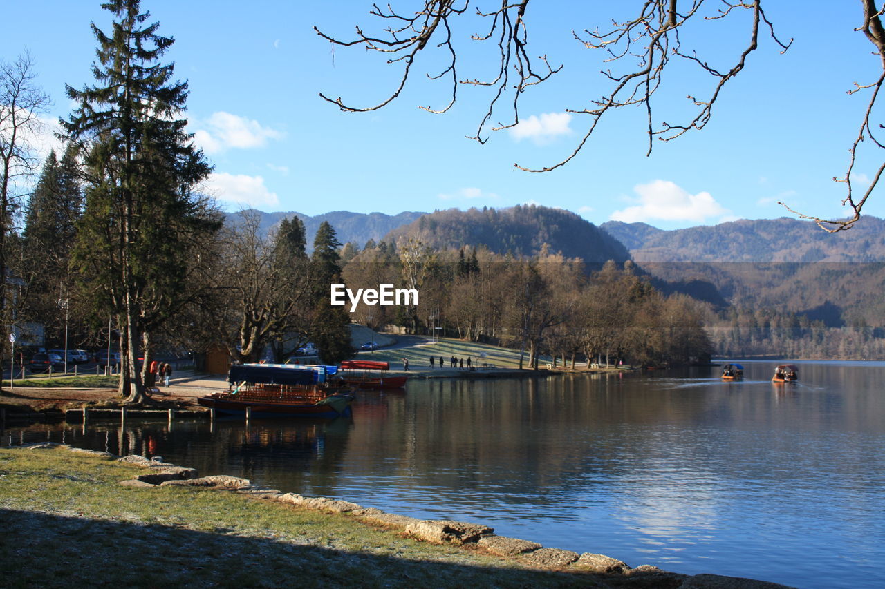 SCENIC VIEW OF LAKE BY TREES AGAINST SKY