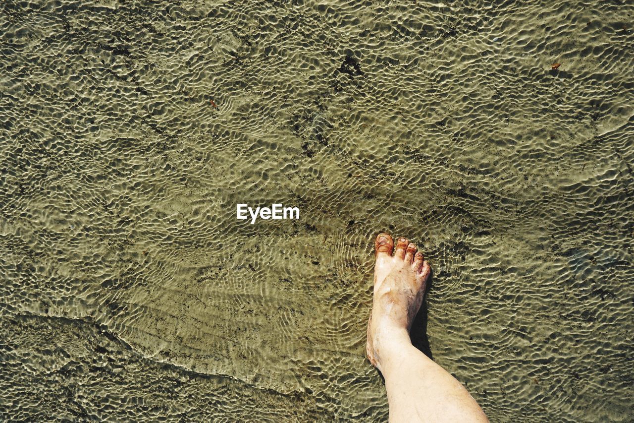 LOW SECTION OF PERSON LEGS ON BEACH