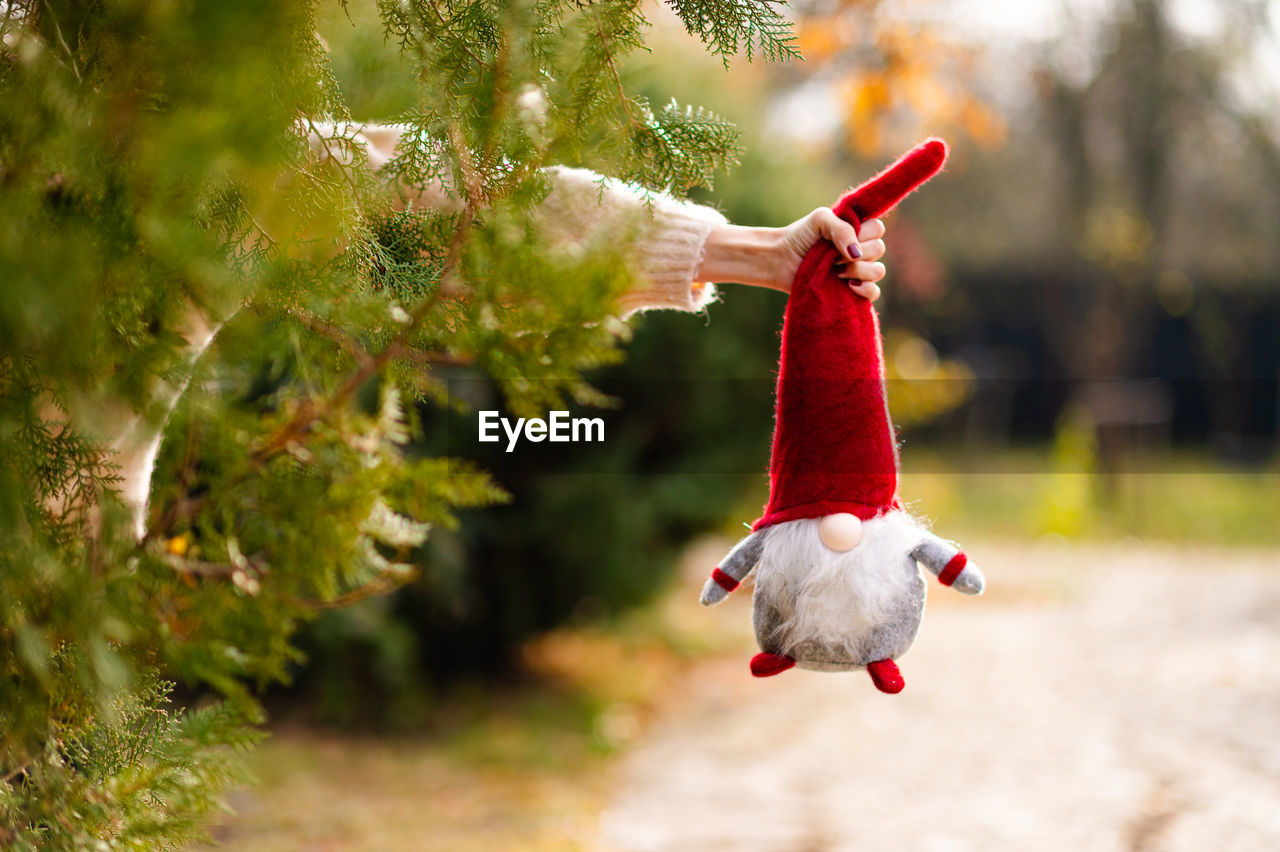 Christmas elf decoration held in hand next to a tree