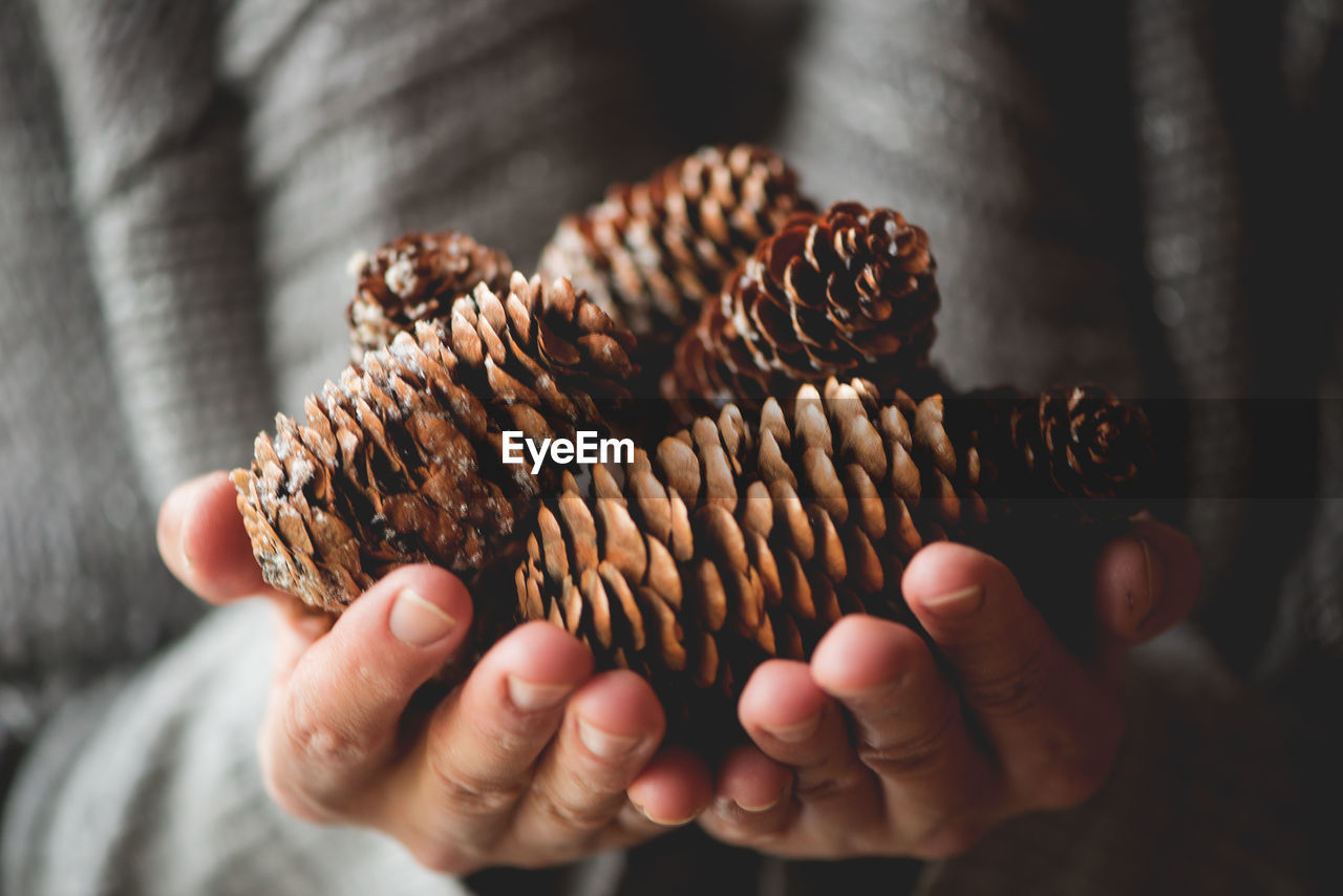 Midsection of woman holding pine cones