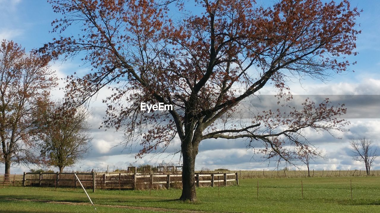 Scenic view of grassy field against cloudy sky