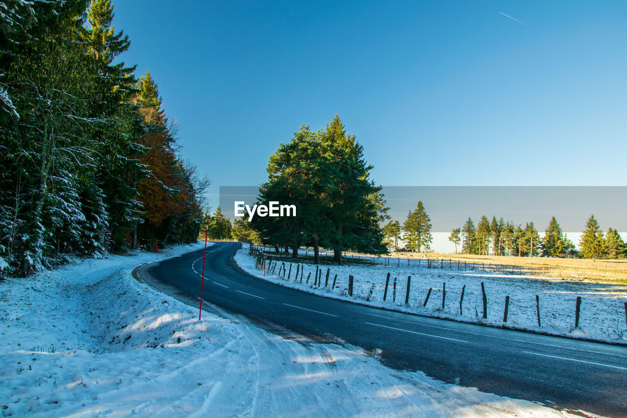 Road by trees against clear blue sky during winter