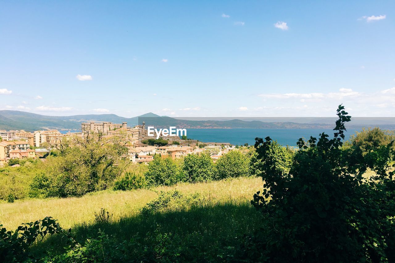 Grassy field by city and sea against sky