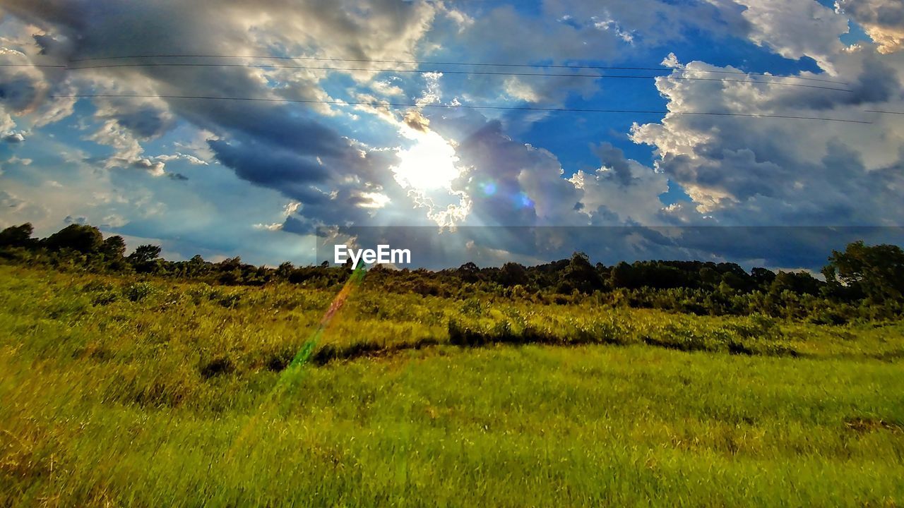 Scenic view of field against sky