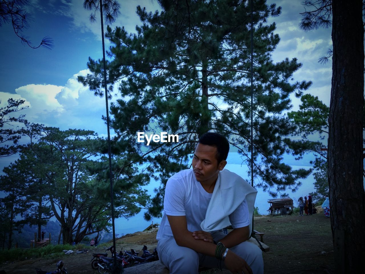 YOUNG MAN SITTING ON STREET AMIDST TREES