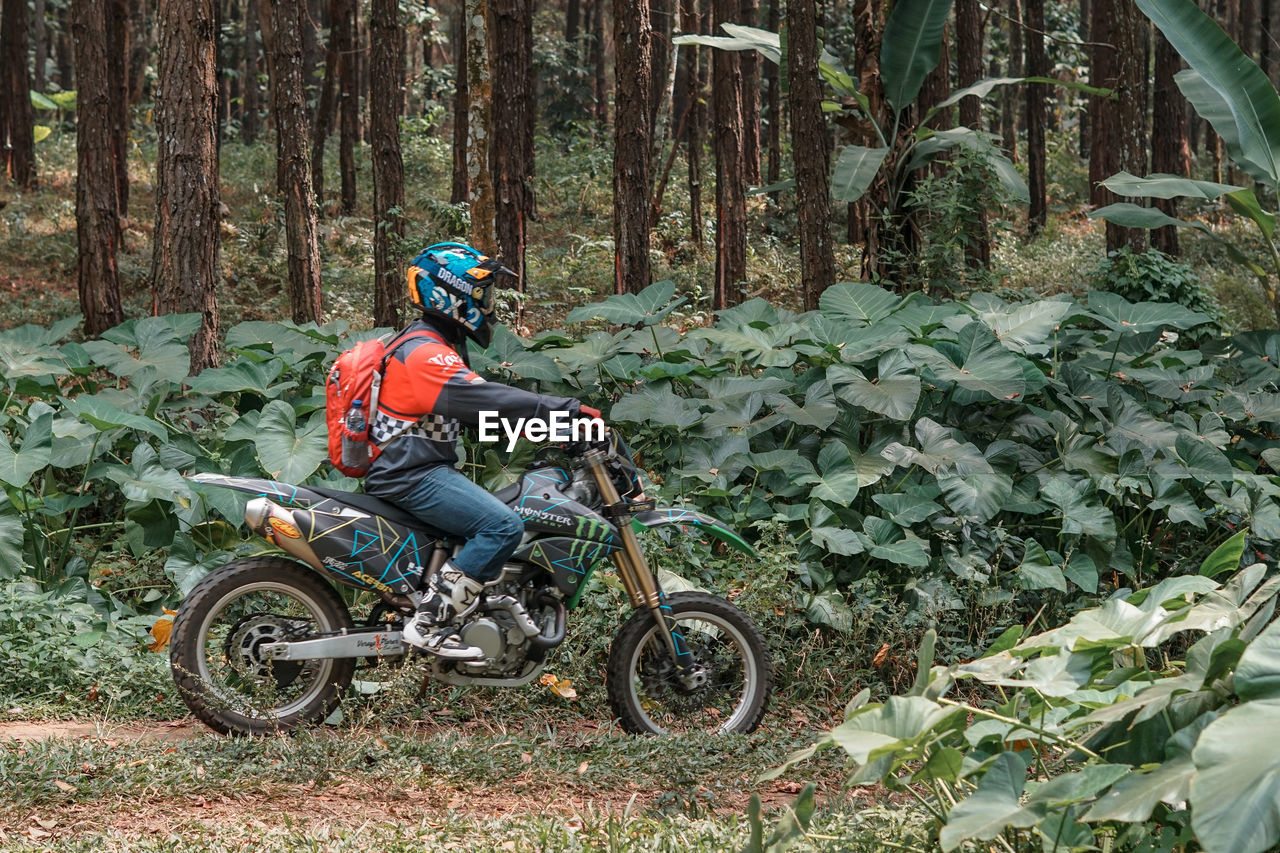 MAN RIDING MOTORCYCLE ON CART IN FOREST