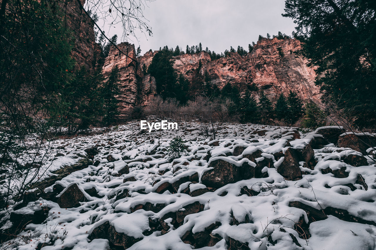 SCENIC VIEW OF SNOW COVERED LAND