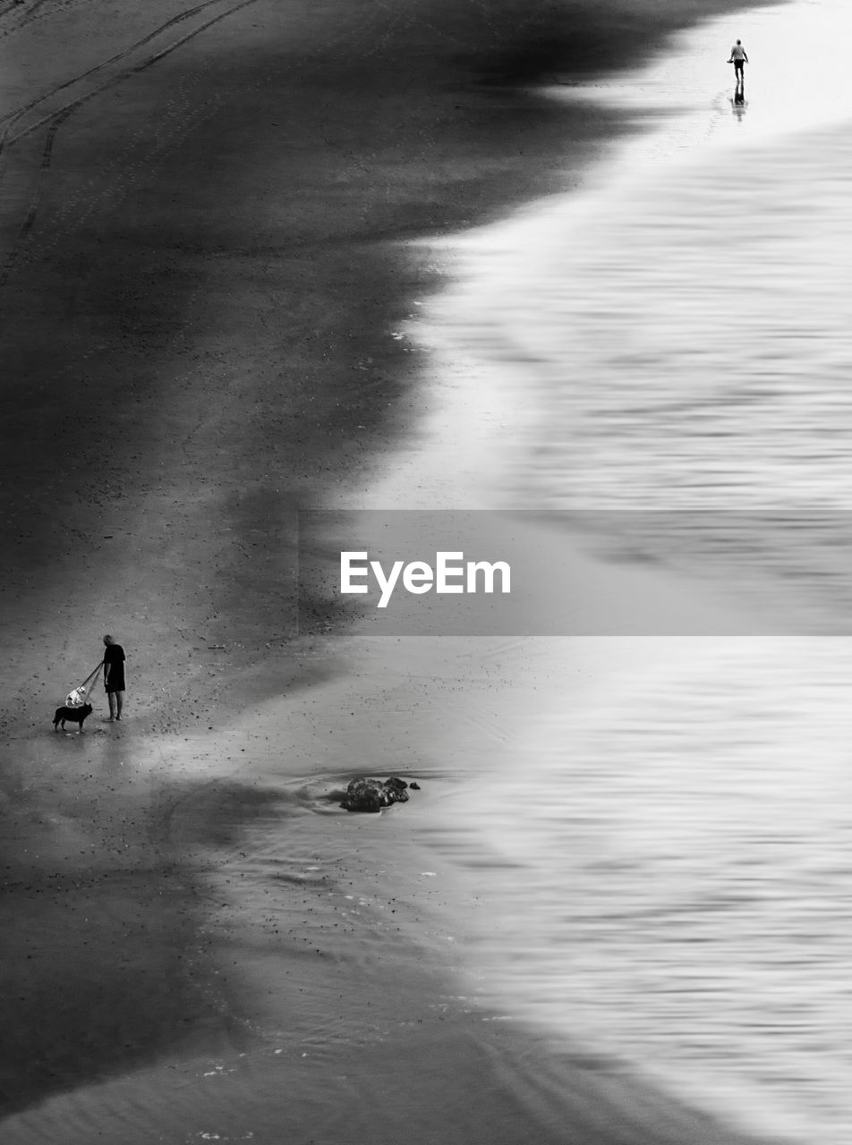 High angle view of man with dogs on beach