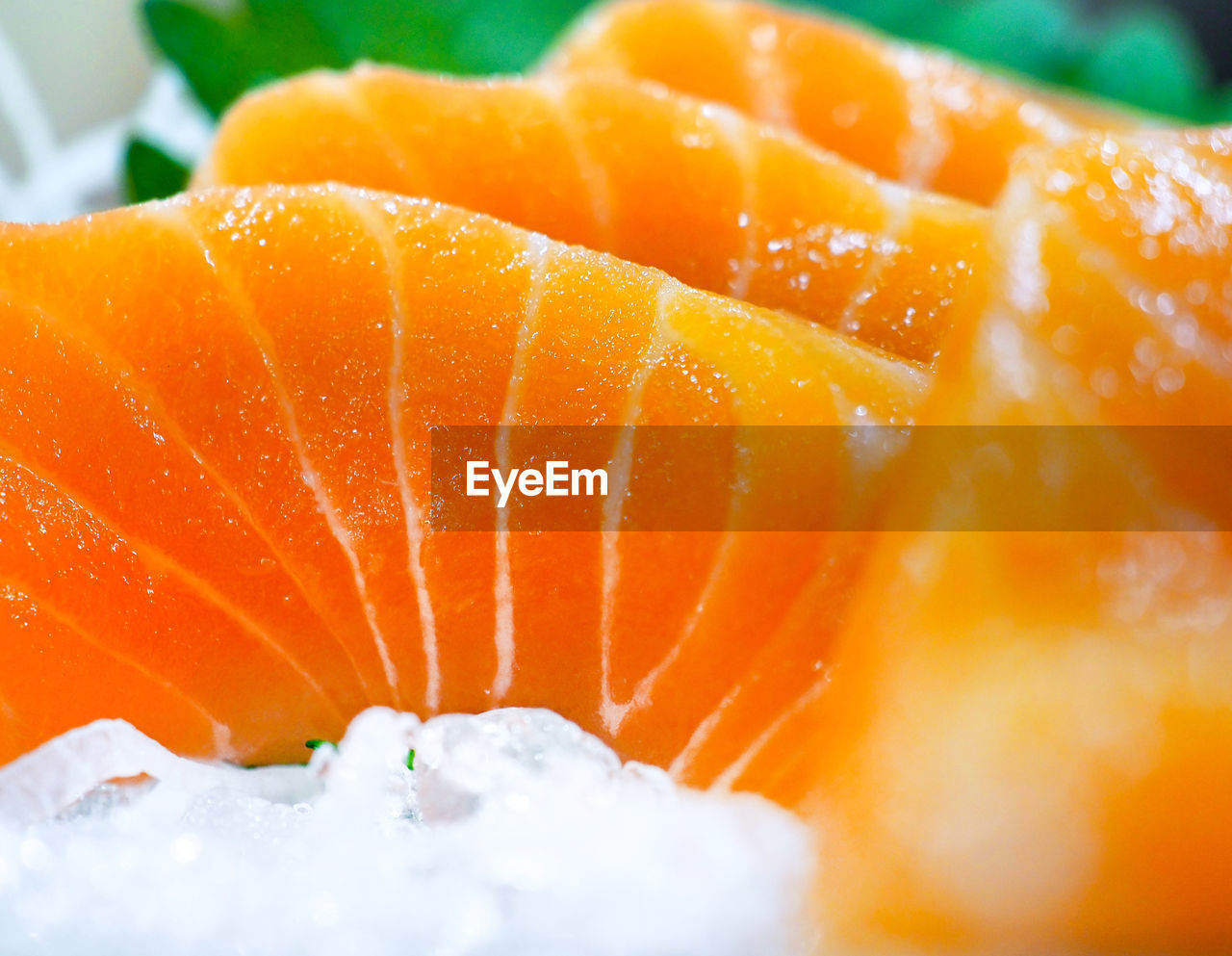 CLOSE-UP OF ORANGE FISH