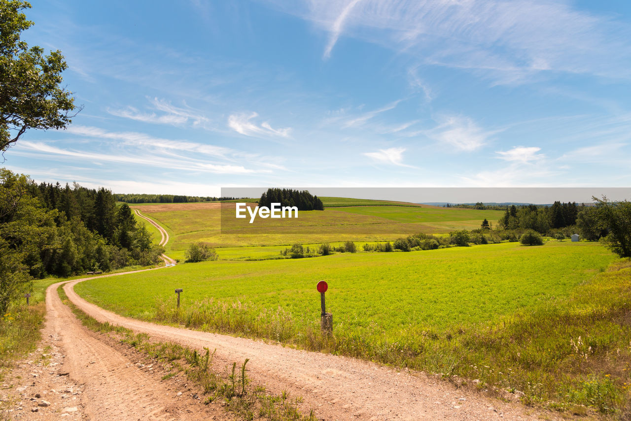 SCENIC VIEW OF ROAD AMIDST FIELD AGAINST SKY