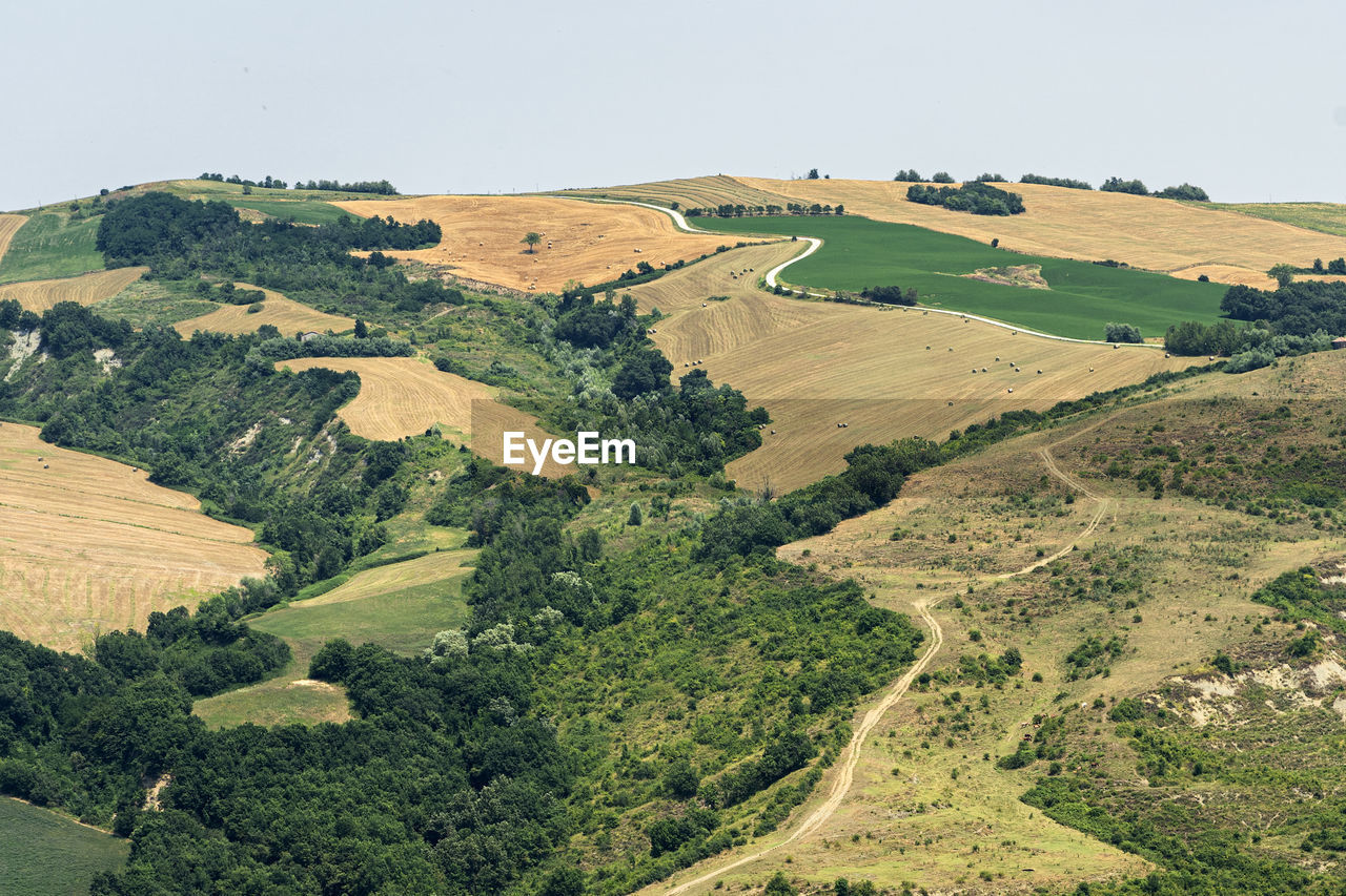 SCENIC VIEW OF RURAL LANDSCAPE AGAINST CLEAR SKY