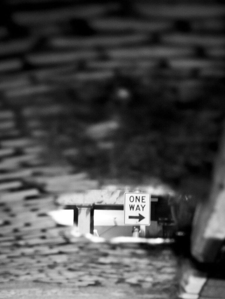 communication, text, selective focus, no people, road sign, indoors, day, close-up, nature, tilt-shift