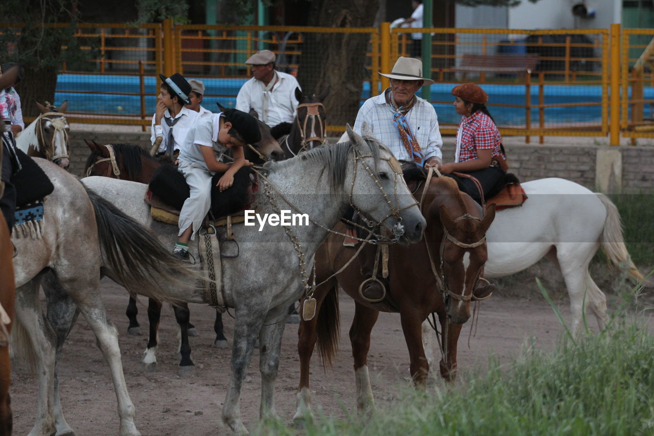 HORSES STANDING ON GROUND