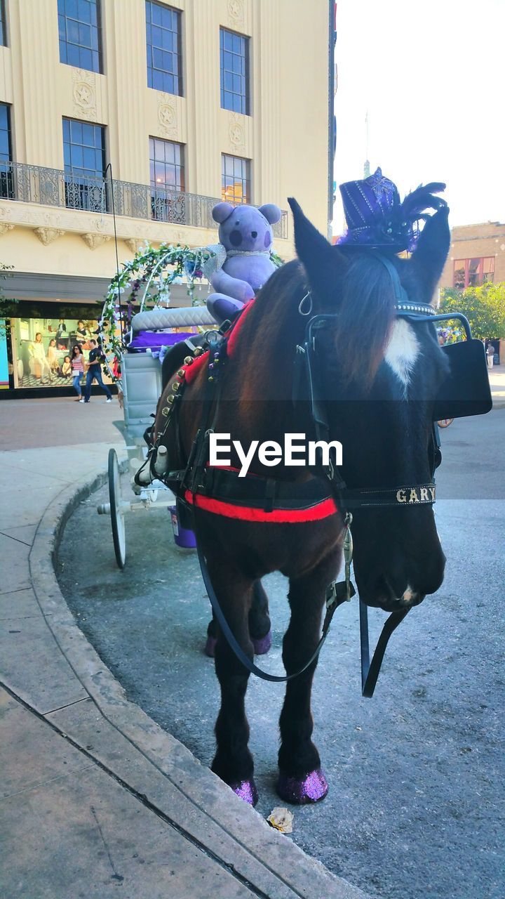 HORSE CART ON CITY STREET AGAINST SKY