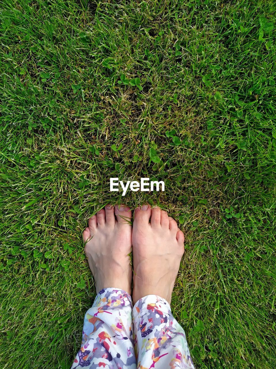 Bare female feet with short fingers on green grass