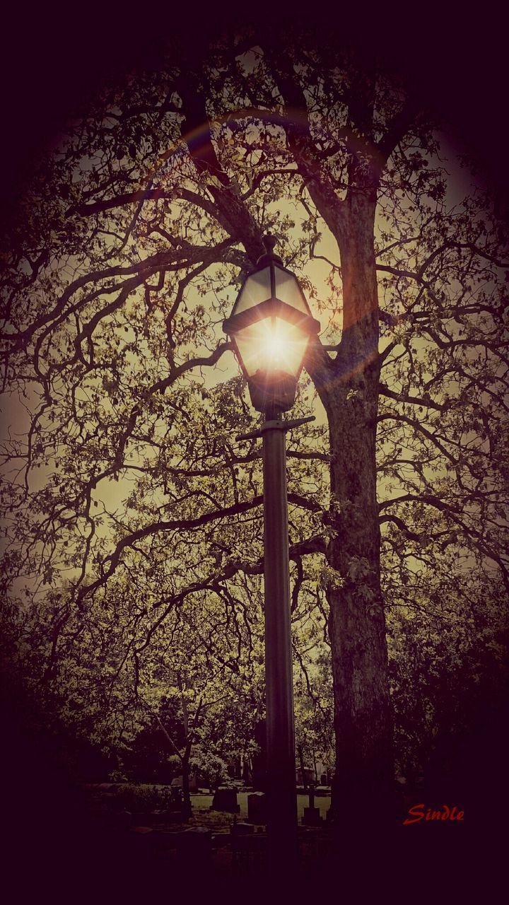 LOW ANGLE VIEW OF STREET LIGHT AGAINST SKY