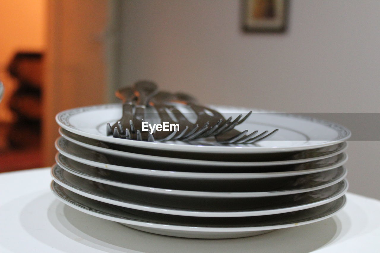 CLOSE-UP OF PLATE ON TABLE