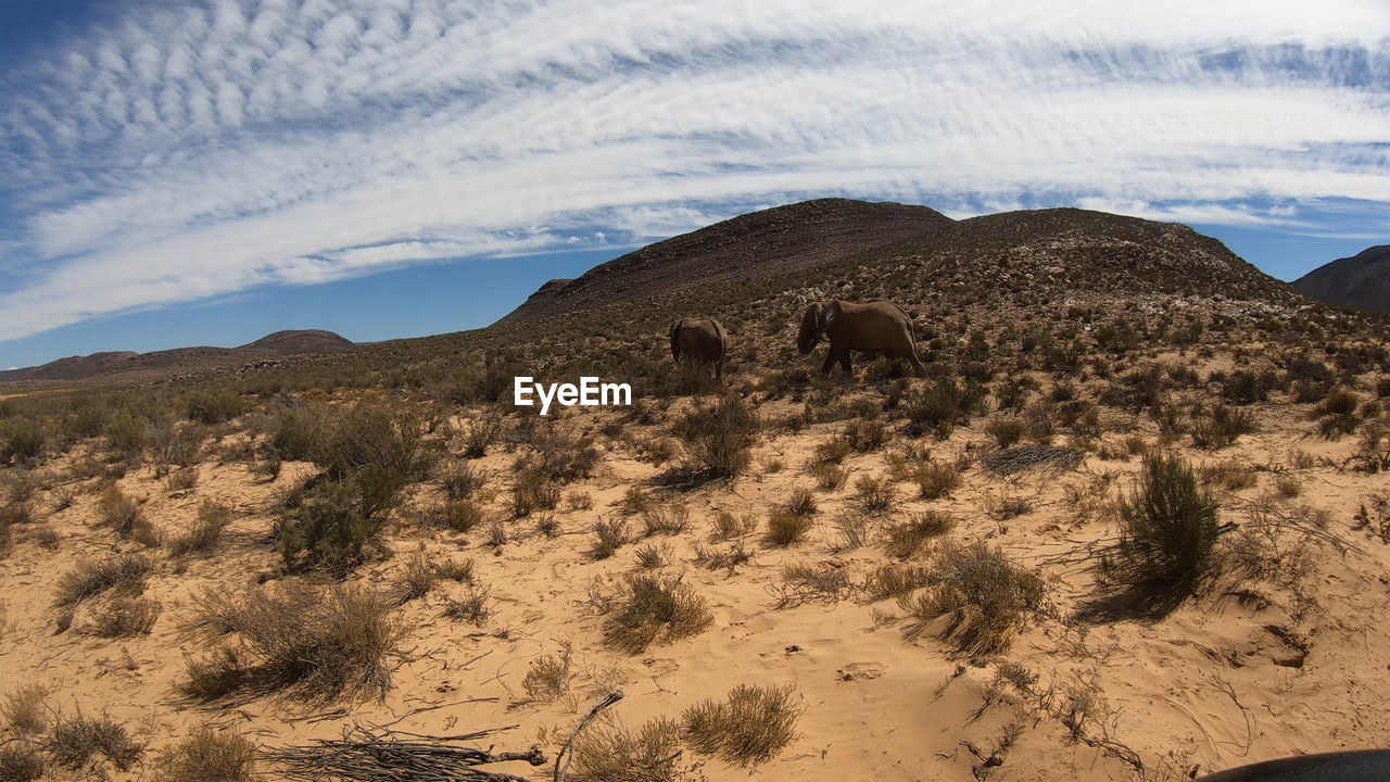 SCENIC VIEW OF ROCKS ON LAND AGAINST SKY