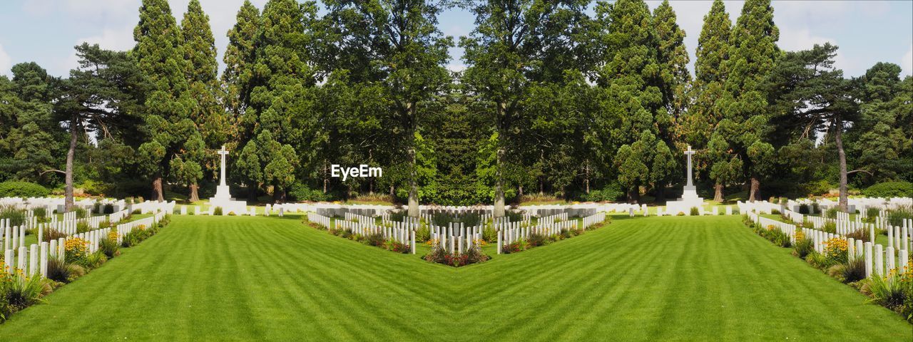 PANORAMIC VIEW OF TREES AND PLANTS IN PARK