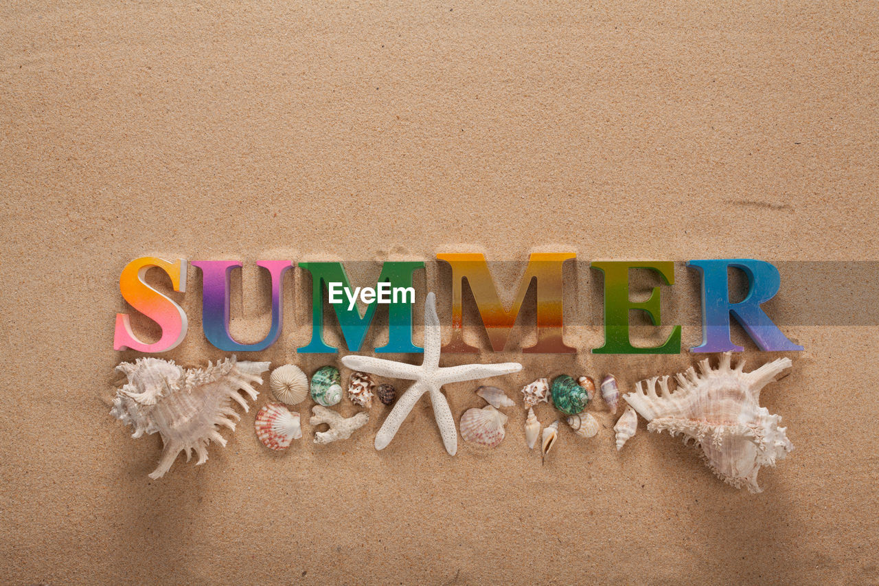 High angle view of summer text with seashells on sand at beach