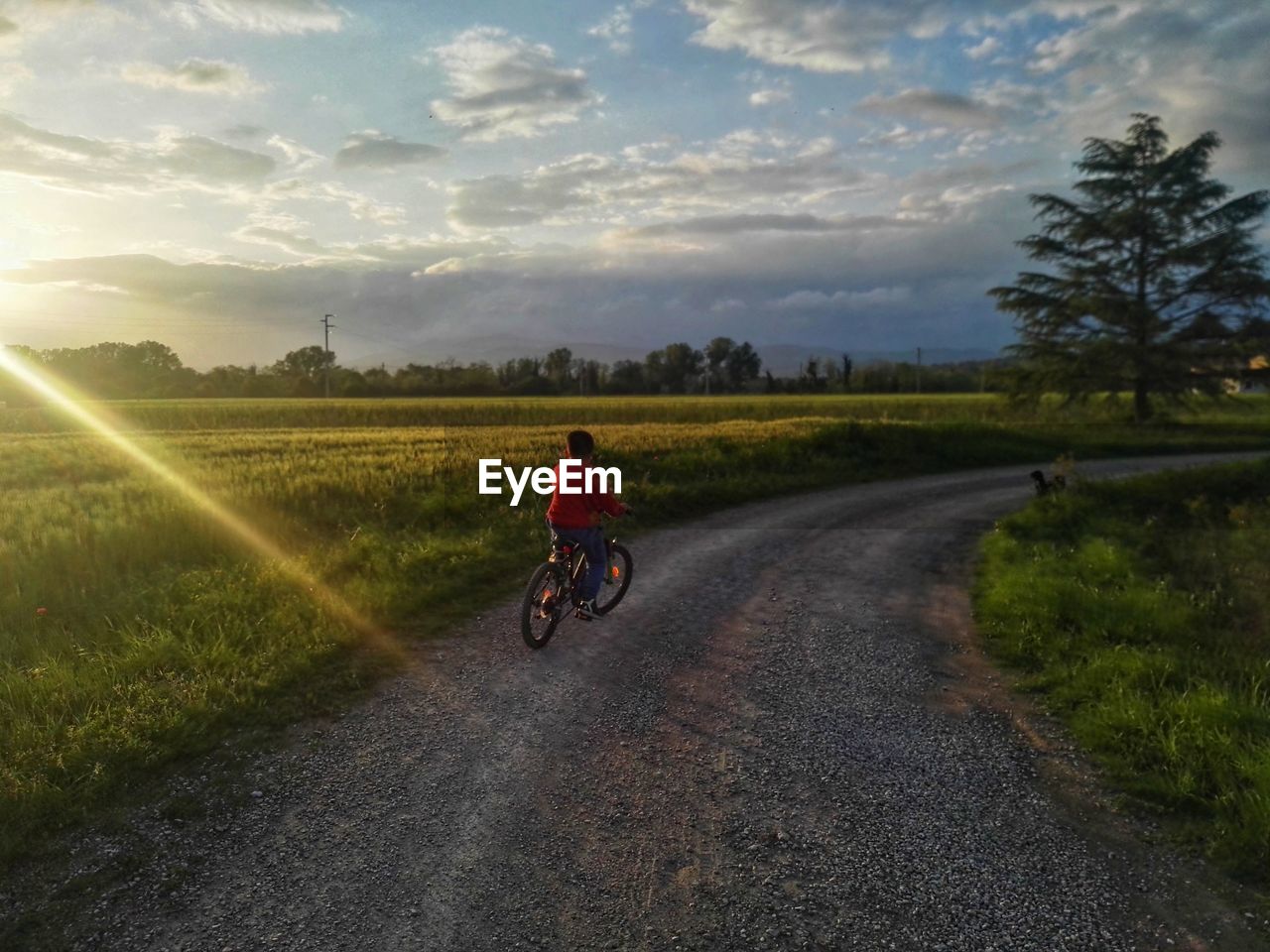 Rear view of boy riding bicycle on road