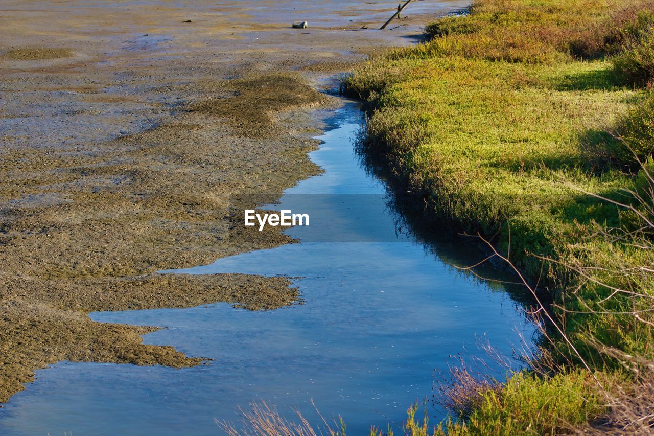 High angle view of stream amidst plants on field