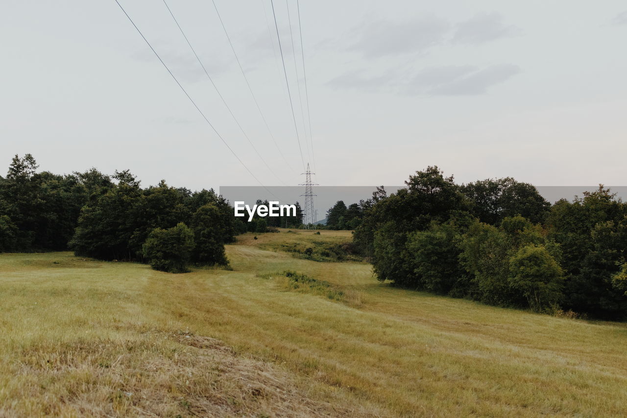 Trees on field against sky