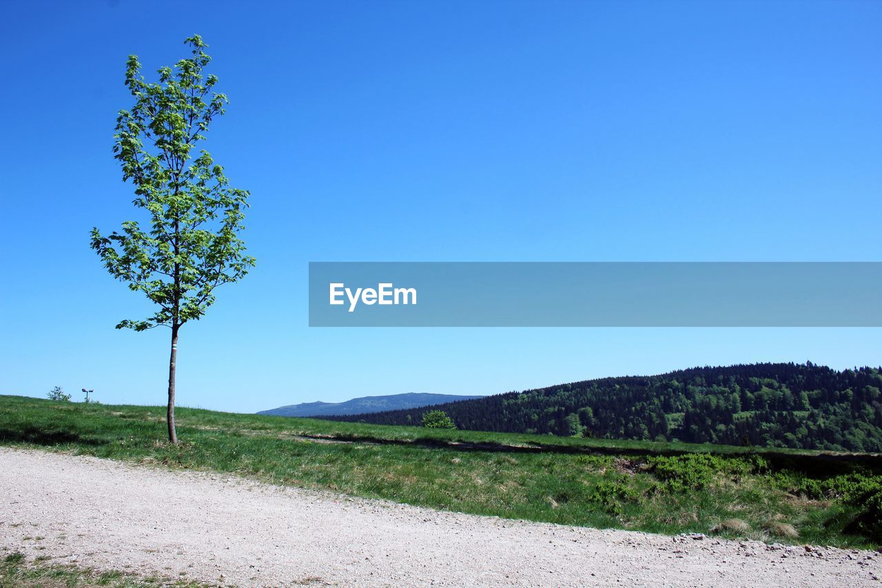 SCENIC VIEW OF LANDSCAPE AGAINST BLUE SKY