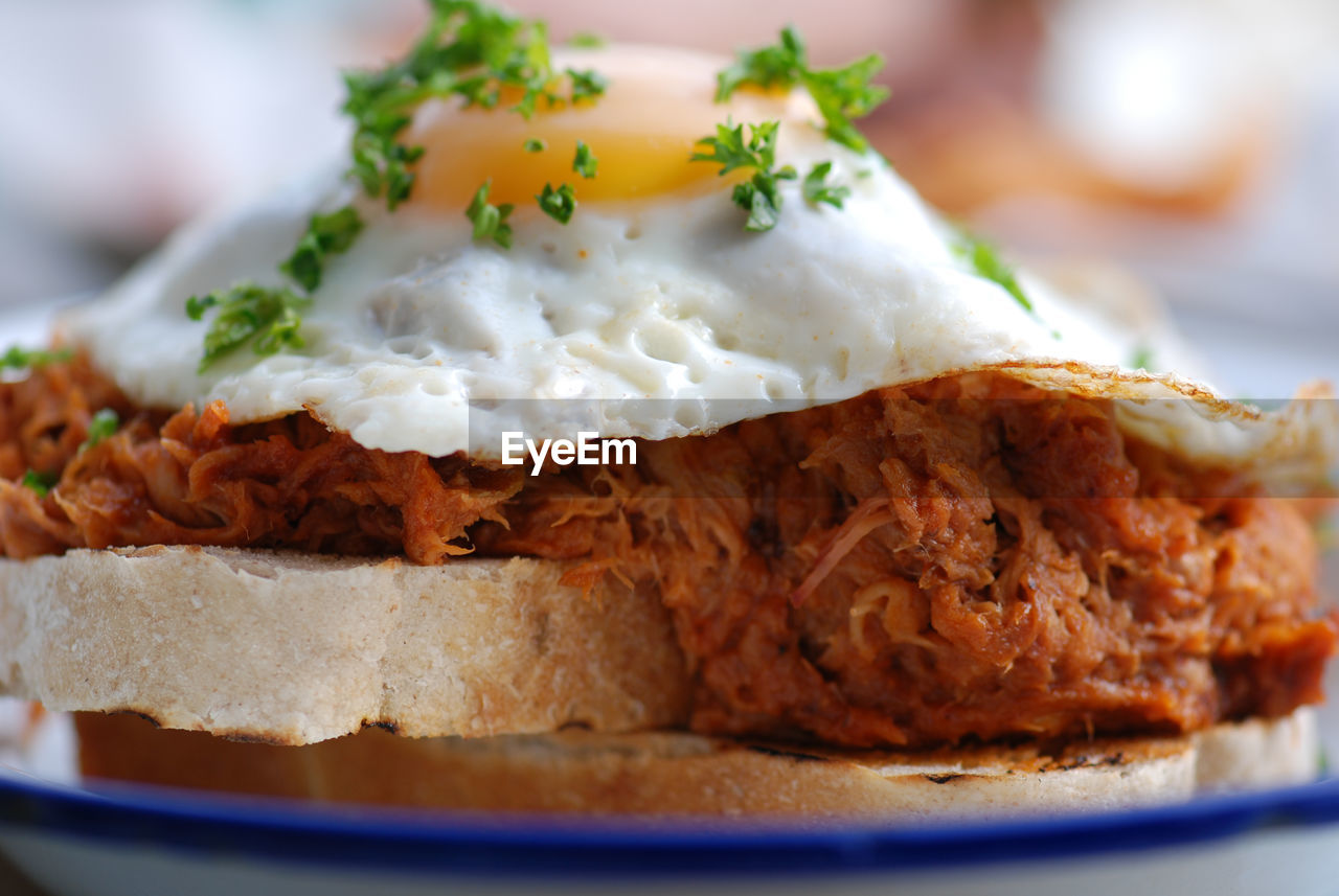 Close-up of pork with fried egg and bread in plate