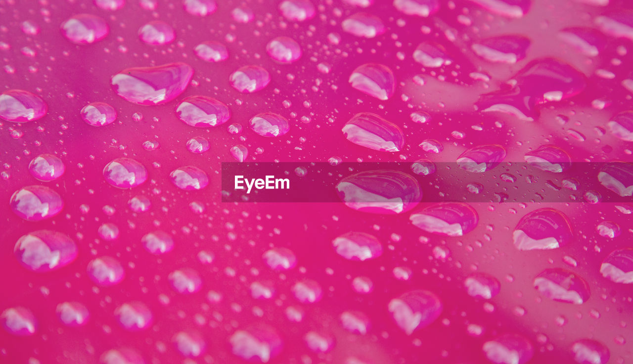 FULL FRAME SHOT OF WATER DROPS ON PINK PETALS