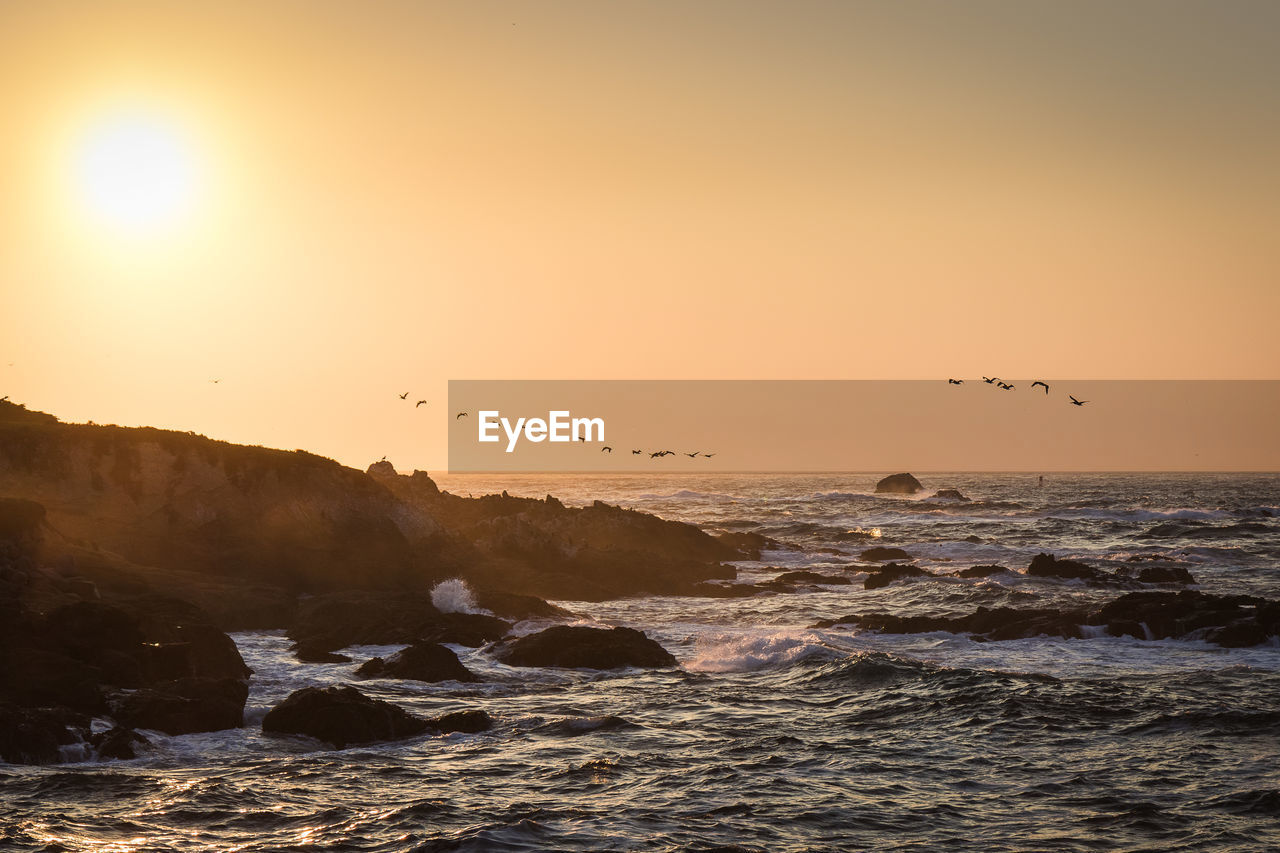 SILHOUETTE BIRDS FLYING OVER SEA AGAINST CLEAR SKY