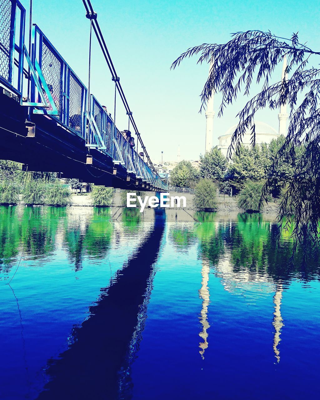 REFLECTION OF TREE IN WATER