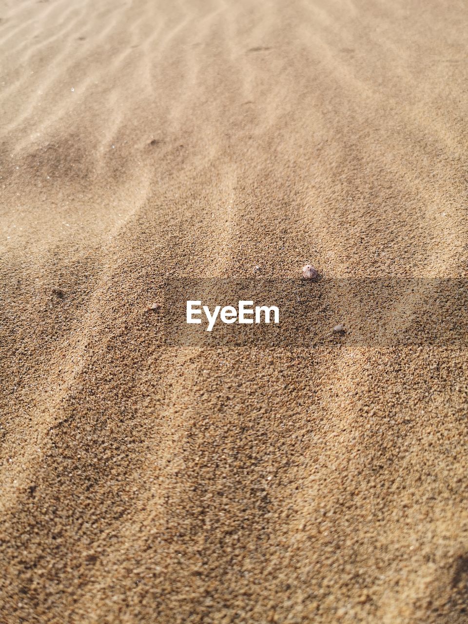 land, sand, beach, soil, high angle view, nature, no people, day, full frame, backgrounds, tranquility, asphalt, pattern, brown, outdoors, sunlight, beauty in nature, textured, flooring, footprint, floor, field