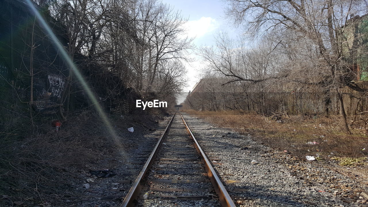 Surface level of railway tracks along bare trees
