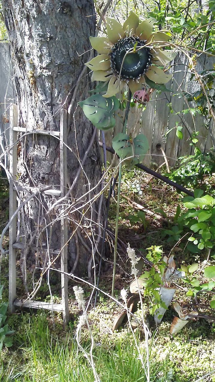 CLOSE-UP OF SPIDER WEB ON PLANTS