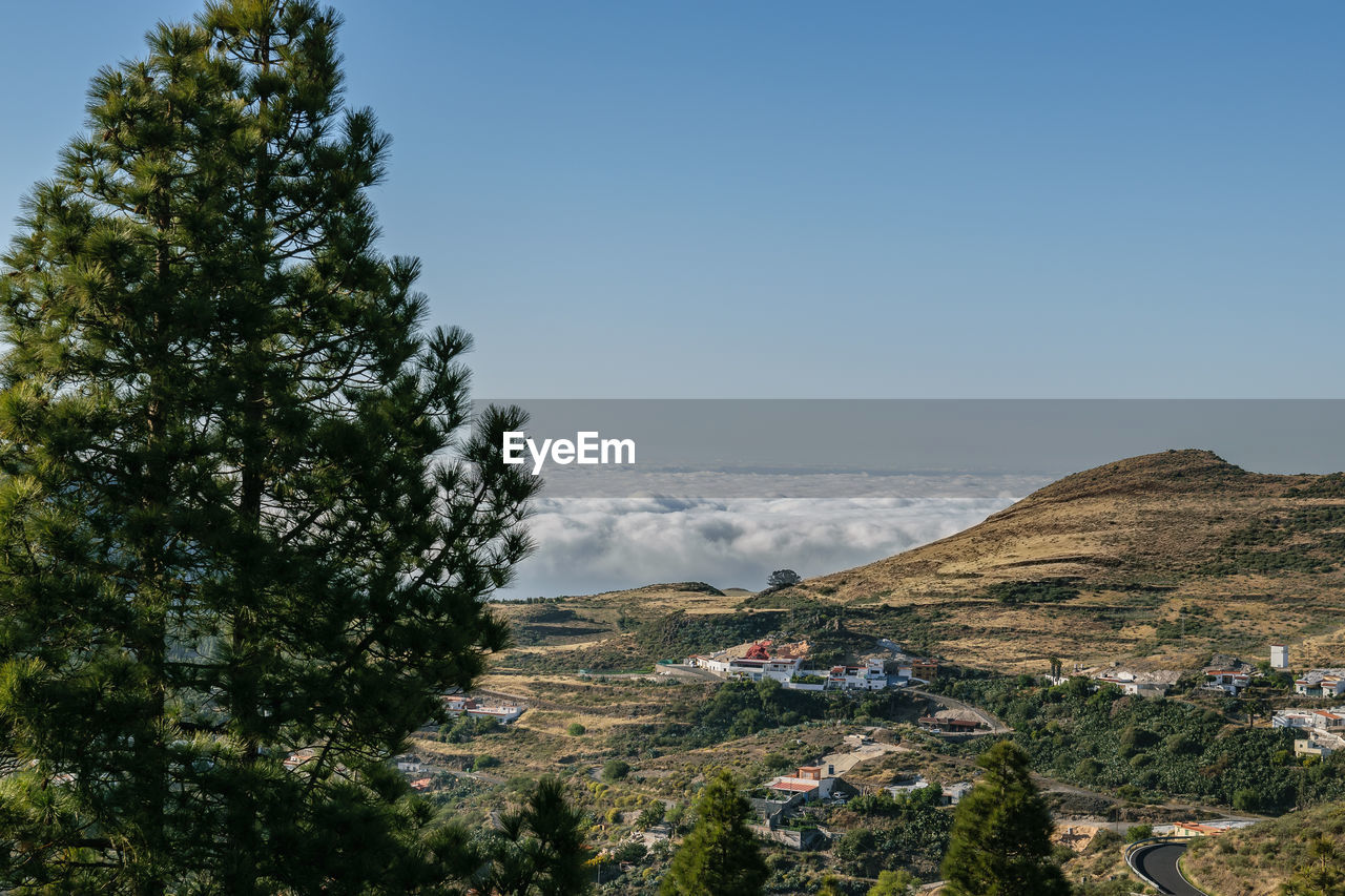 Scenic view of landscape against clear sky