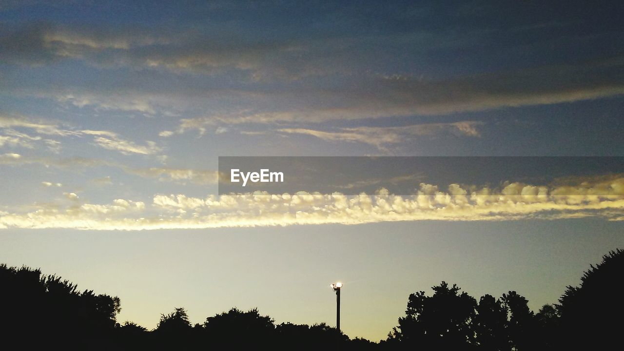 LOW ANGLE VIEW OF SILHOUETTE TREE AGAINST SKY DURING SUNSET