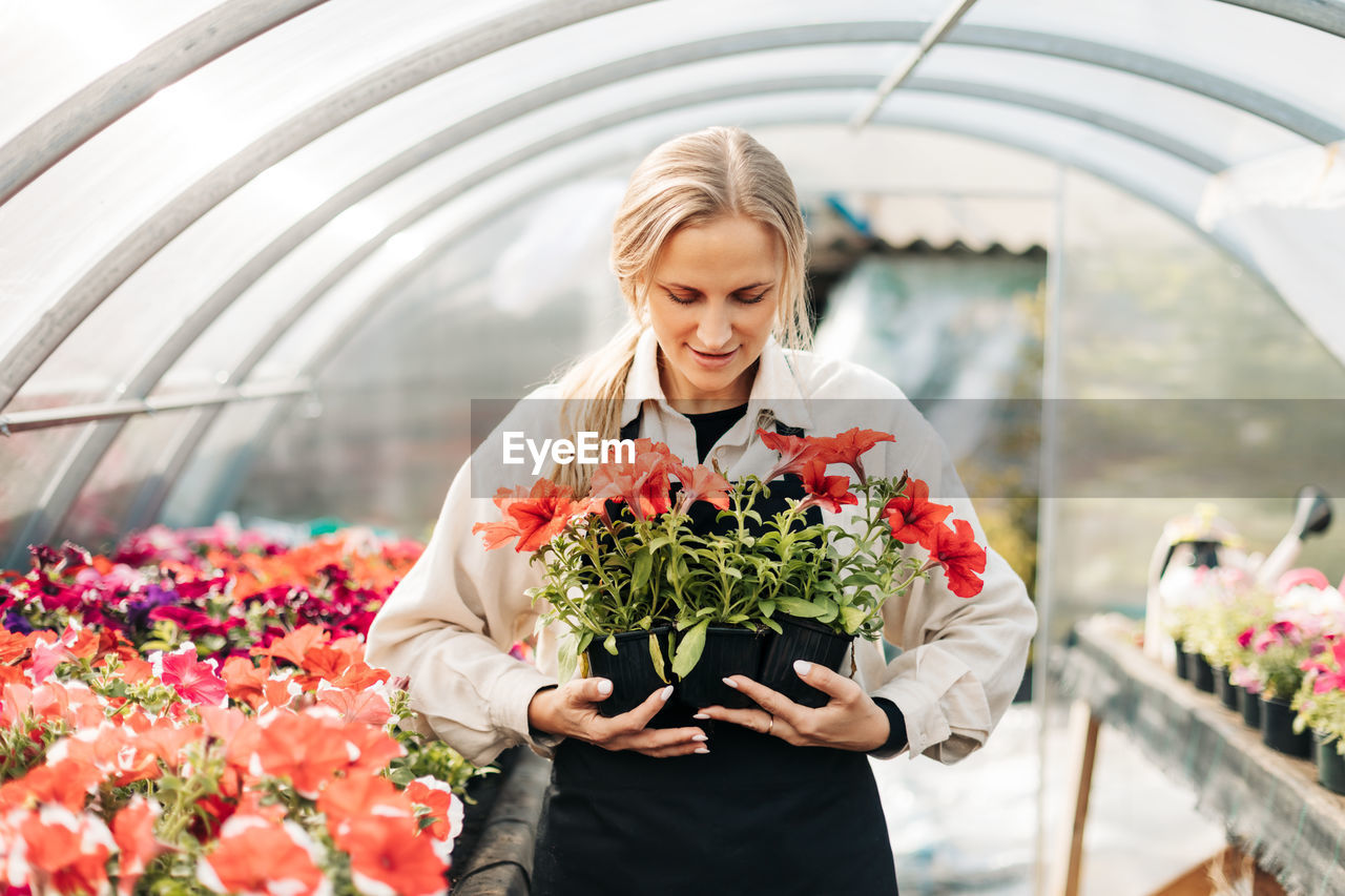 A young woman holds pots of flowers in a greenhouse. small business, garden center, flower shop