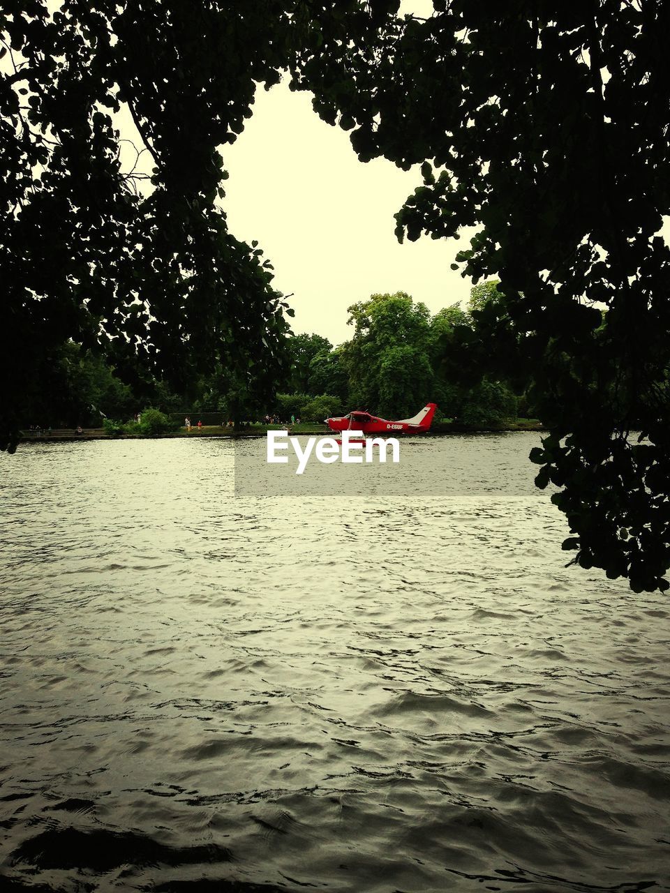 TREES IN WATER