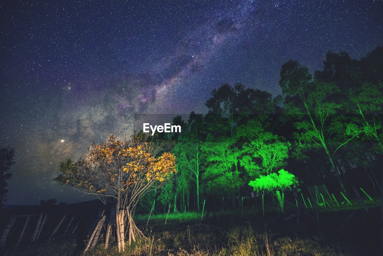 Trees on field against sky at night