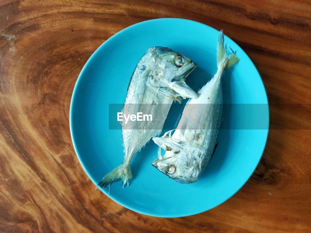 HIGH ANGLE VIEW OF FISH IN PLATE