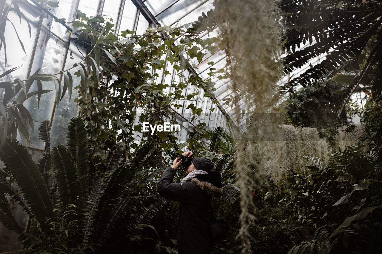 Side view of unrecognizable photographer standing in glasshouse and taking picture of exotic plant in scottish highlands