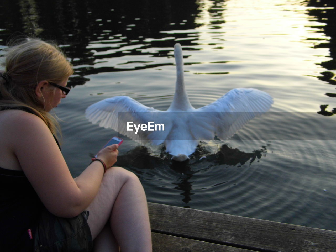 Woman using phone by swan swimming in lake